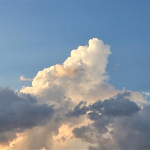 Дорогая девушка, ты прекрасна. 01