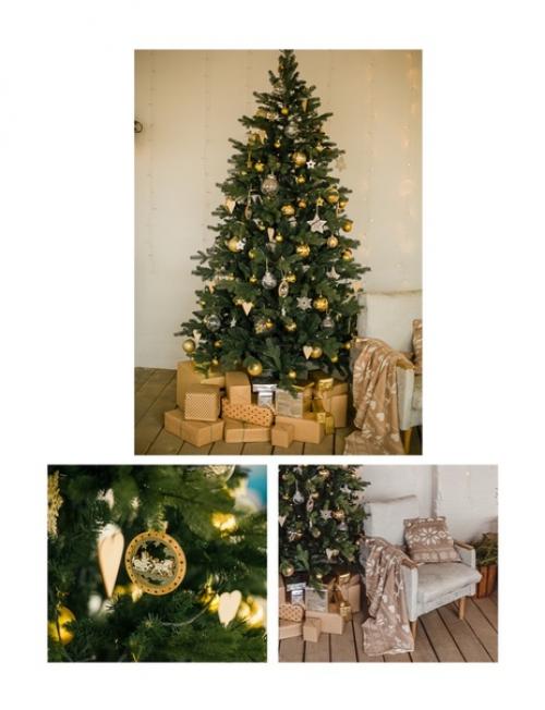 Студия побелка зал Skandi. 04