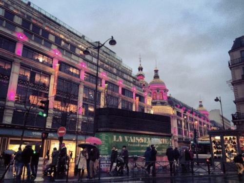 К нам ни ночёвку пришла Ванесса, которую я обожаю. 01