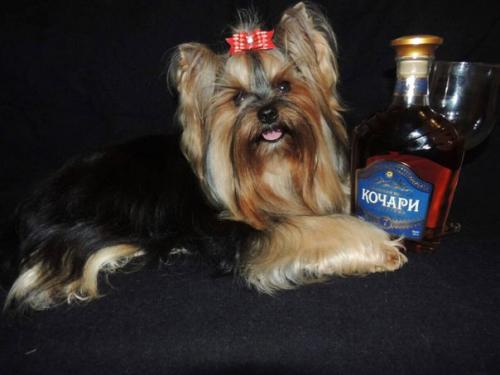 Девочки модницы!  Кто желает на съемку можно с подругой, сестрой, а так же индивидуально! 01