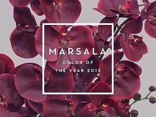 20-Марта - воскресенье кривой рог. 02