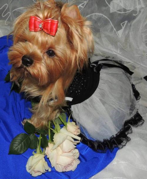 Девочки модницы!  Кто желает на съемку можно с подругой, сестрой, а так же индивидуально! 02