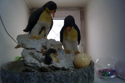 Мы ждем вас в нашем уютном салоне! 03