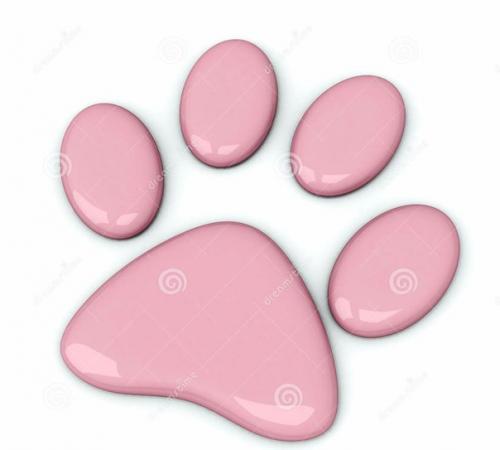 Лерочка моя?  Горжусь тобой, люблю? 02