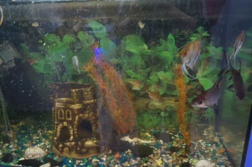 Мы ждем вас в нашем уютном салоне! 02