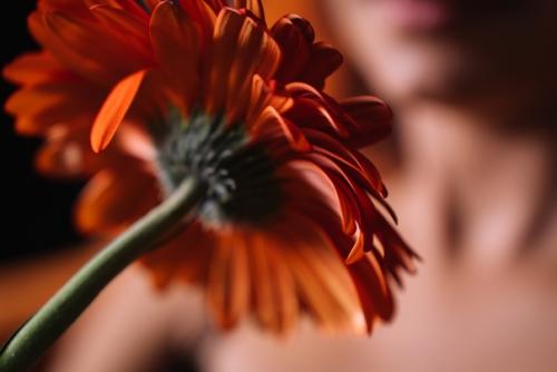 Индивидуальная фотосессия для Аллы. 04