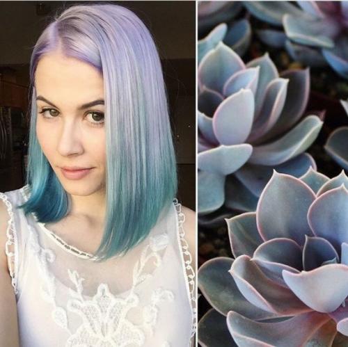 Epilage - cенсация 2017 года? 03 Epilage - cенсация 2017 года? 03