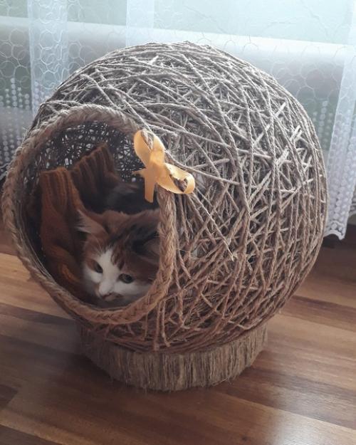 И скажите, кто не знает Марину Евграфову? 07