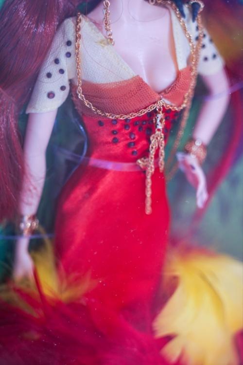 В 2008 году под золотым лейблом компанией Mattel была выпущена очень яркая и претенциозная кукла - Barbie The Scarlet Macaw. 04