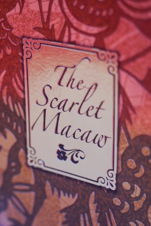 В 2008 году под золотым лейблом компанией Mattel была выпущена очень яркая и претенциозная кукла - Barbie The Scarlet Macaw. 02