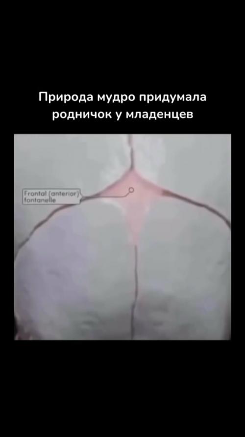 Родничок у малыша - один из самых удивительных элементов раннего развития человека. 02 Родничок у малыша - один из самых удивительных элементов раннего развития человека. 02