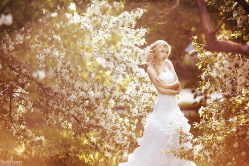 Дорогие невесты, подружки невесты, а так же их мамы и женихи! 08