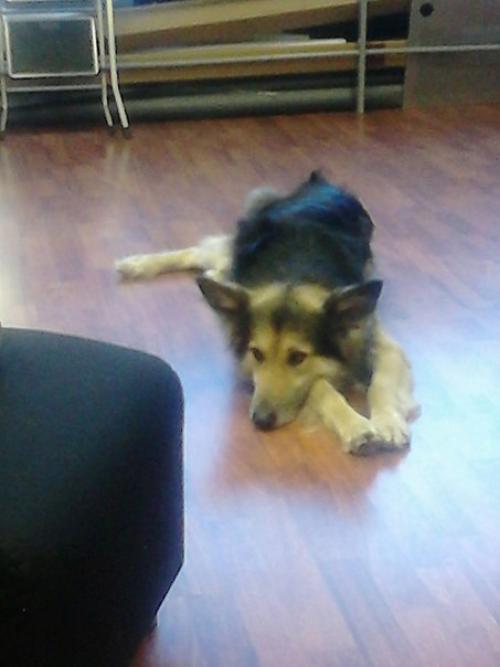 Наконец - то поднялось настроение! 01