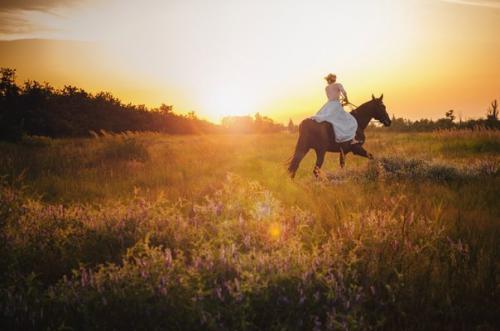 Всем, кто хотел, всем кто мечтал о красивейших фотографиях на природе с лошадьми, посвящается! 01