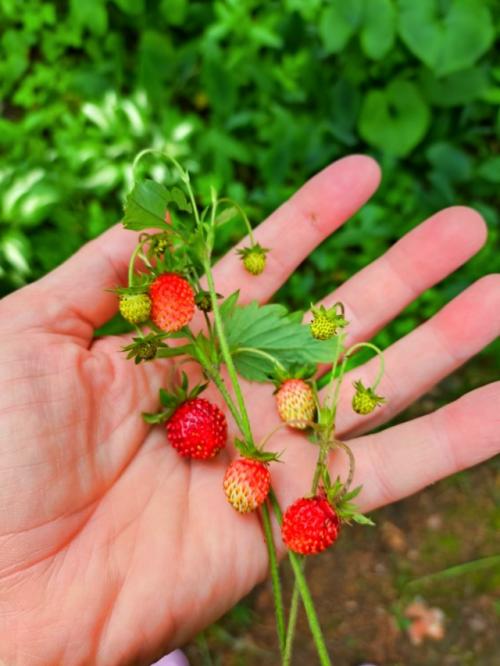 - Бабулечка, в субботу я еду на лекцию - перформанс для психологов и логопедов. 03 - Бабулечка, в субботу я еду на лекцию - перформанс для психологов и логопедов. 03