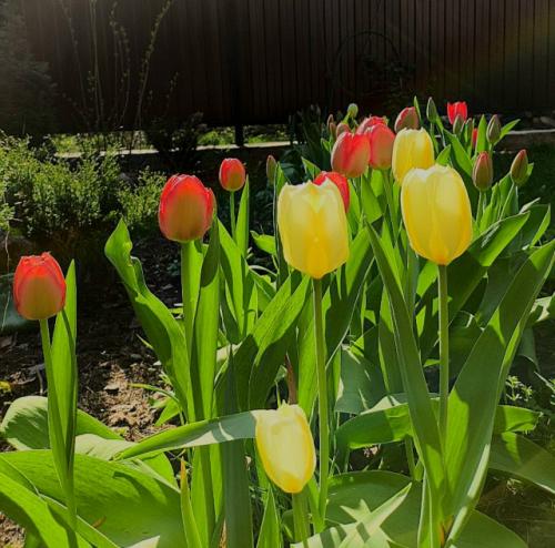 - Бабулечка, в субботу я еду на лекцию - перформанс для психологов и логопедов. 02 - Бабулечка, в субботу я еду на лекцию - перформанс для психологов и логопедов. 02