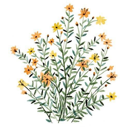 Perfect_факт?   ? 16. 03 Perfect_факт?   ? 16. 03