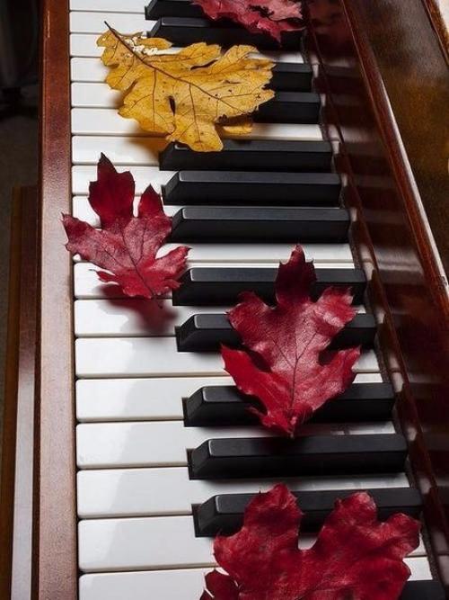 Салон Рай Красоты в Купчино. 01