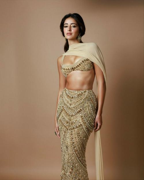 Образ Ананьи для вечеринки Маниша мальхотры в честь дивали. 05