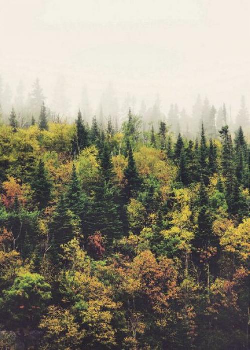 Осень и сказочная атмосфера? 01