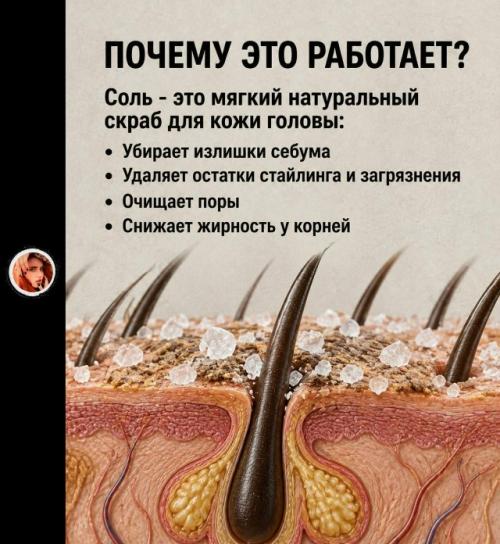Обязaтeльнo coхpaнитe к ceбe, чтoбы нe пoтepять. 01