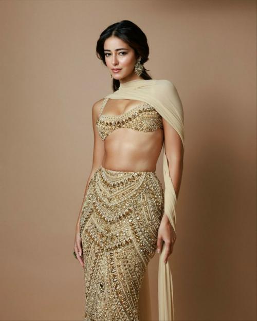 Образ Ананьи для вечеринки Маниша мальхотры в честь дивали. 04