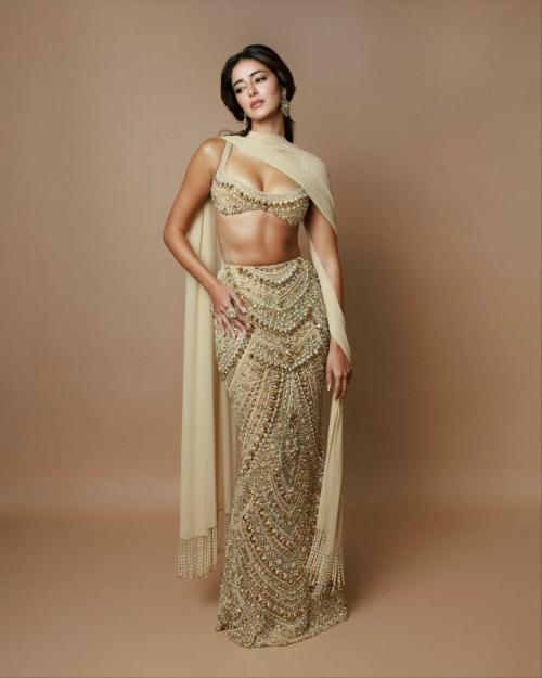 Образ Ананьи для вечеринки Маниша мальхотры в честь дивали. 07