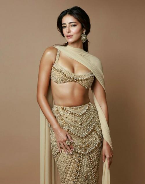 Образ Ананьи для вечеринки Маниша мальхотры в честь дивали. 02