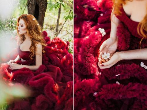 27 ноября состоится гранд проект Новогоднее Чудо с крутым самоедом и яркой хаски? 01