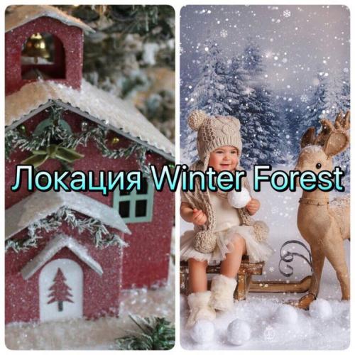 Дорогие мальчики и девочки, мамы и папы! 03