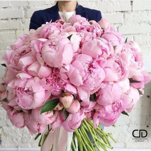 Добрый день! Меня зовут Наталья золоторева! 02 Добрый день! Меня зовут Наталья золоторева! 02