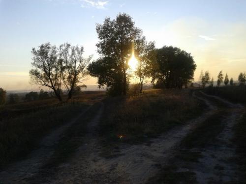 Так хочется быть красивой, особенно, в новый год! 02 Так хочется быть красивой, особенно, в новый год! 02