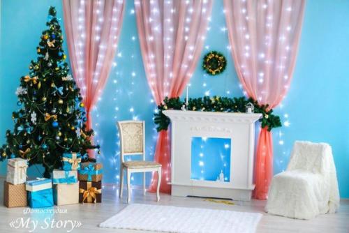 В поддержку группы помощи бездомных животных Кошкин дом 20 декабря пройдет благотворительная новогодняя фотосессия. 02