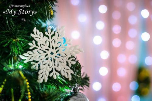 В поддержку группы помощи бездомных животных Кошкин дом 20 декабря пройдет благотворительная новогодняя фотосессия. 01