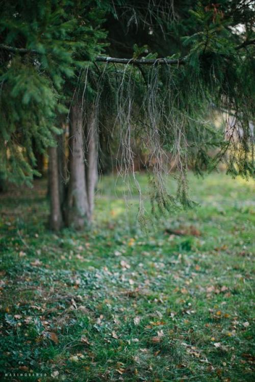 Небольшой анонс нежной фотосъёмки в стиле файн арт -. 06