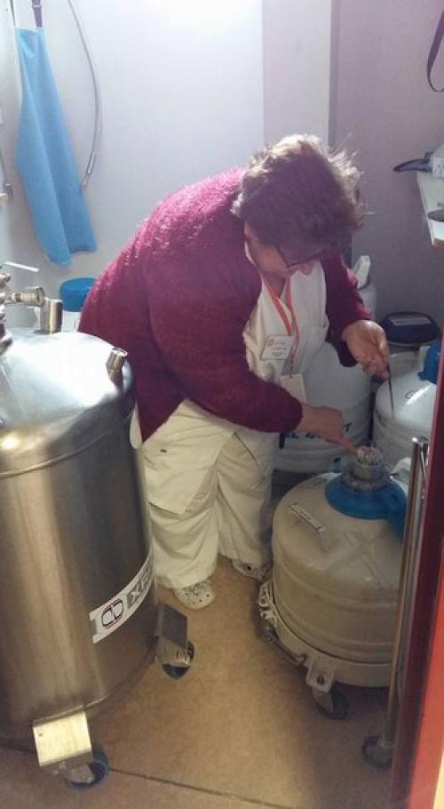 Хочу рассказать вам про роддом в городе Париже, в котором рожают французские звезды. 09