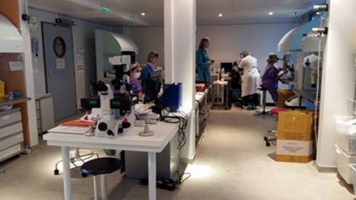 Хочу рассказать вам про роддом в городе Париже, в котором рожают французские звезды. 02