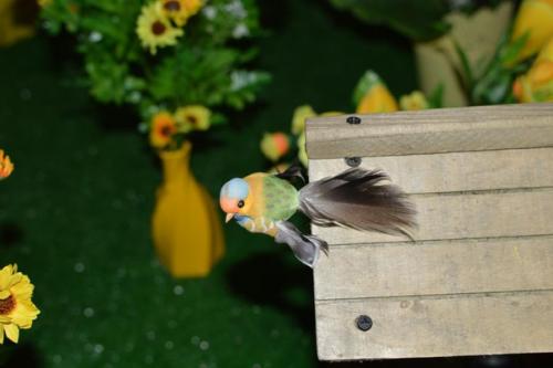 С 1 апреля фотостудия Колибри представляет праздничный семейный фотопроект Прованс! 04