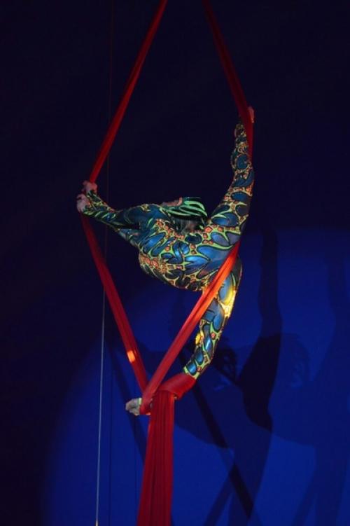 Разработка образа для воздушных гимнасток - это увлекательный и творческий процесс, включающий в себя множество этапов. 04