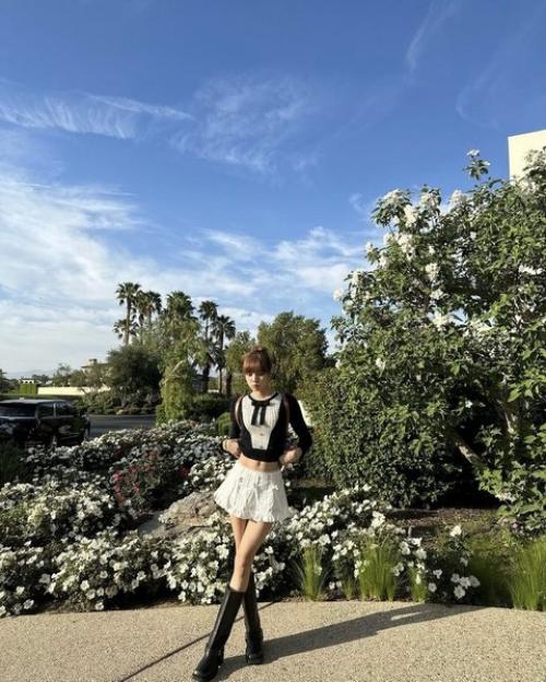 240423: лиса с Билли айлиш. 04 240423: лиса с Билли айлиш. 04