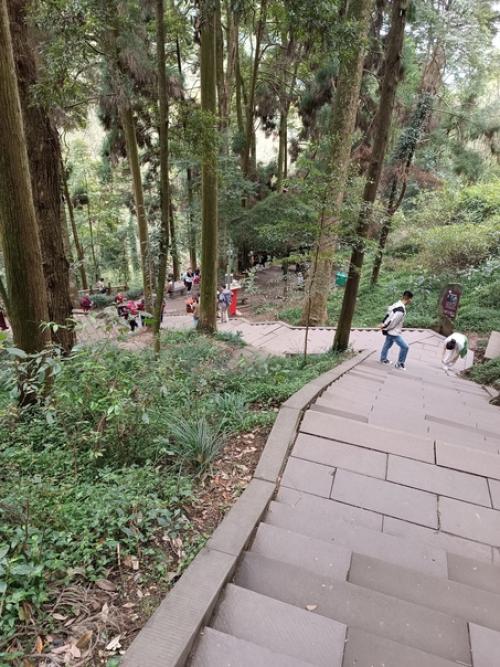 Чэнду, день второй. 03 Чэнду, день второй. 03