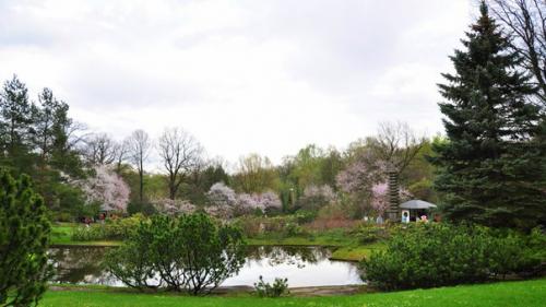 Милые девушки, давно ли вы были в образе королевы? 02