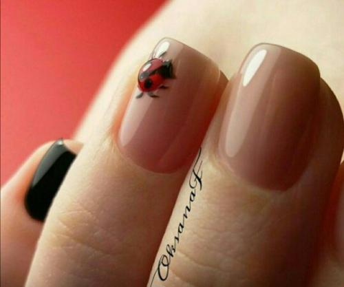 Наверное, нет такого человека, который бы не любил лето. 03