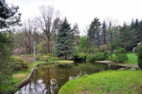 Милые девушки, давно ли вы были в образе королевы? 03