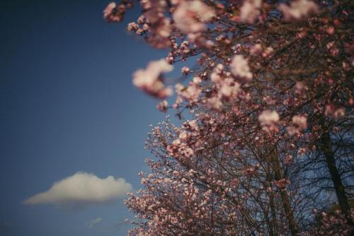 Милые девушки, давно ли вы были в образе королевы? 01