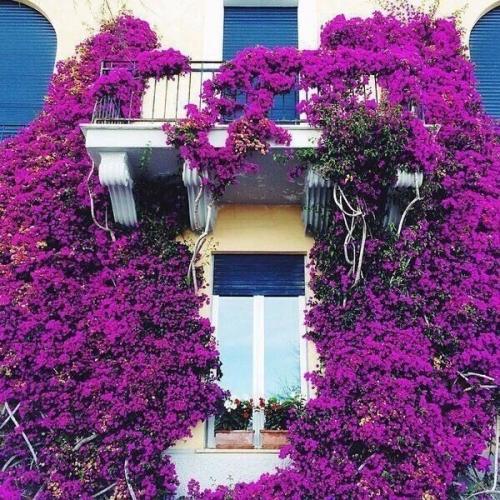 ? 5. Приложений, которые могут заменить личного стилиста? 01