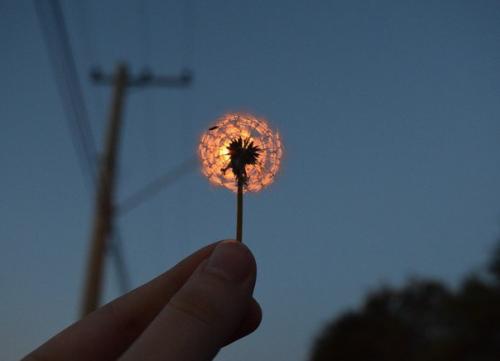 Лето - время радости и веселья. 03