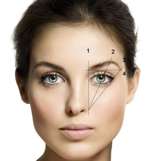 Как правильно сделать форму бровей? 01