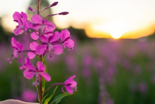 При подготовке к съёмке есть несколько пунктов, которые влияют на ваш образ и как вы будете выглядеть в кадре: 03