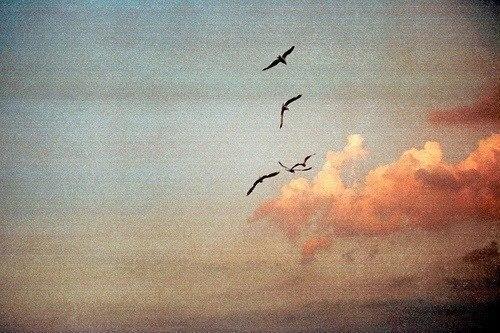 Квадратная форма лица. 01 Квадратная форма лица. 01